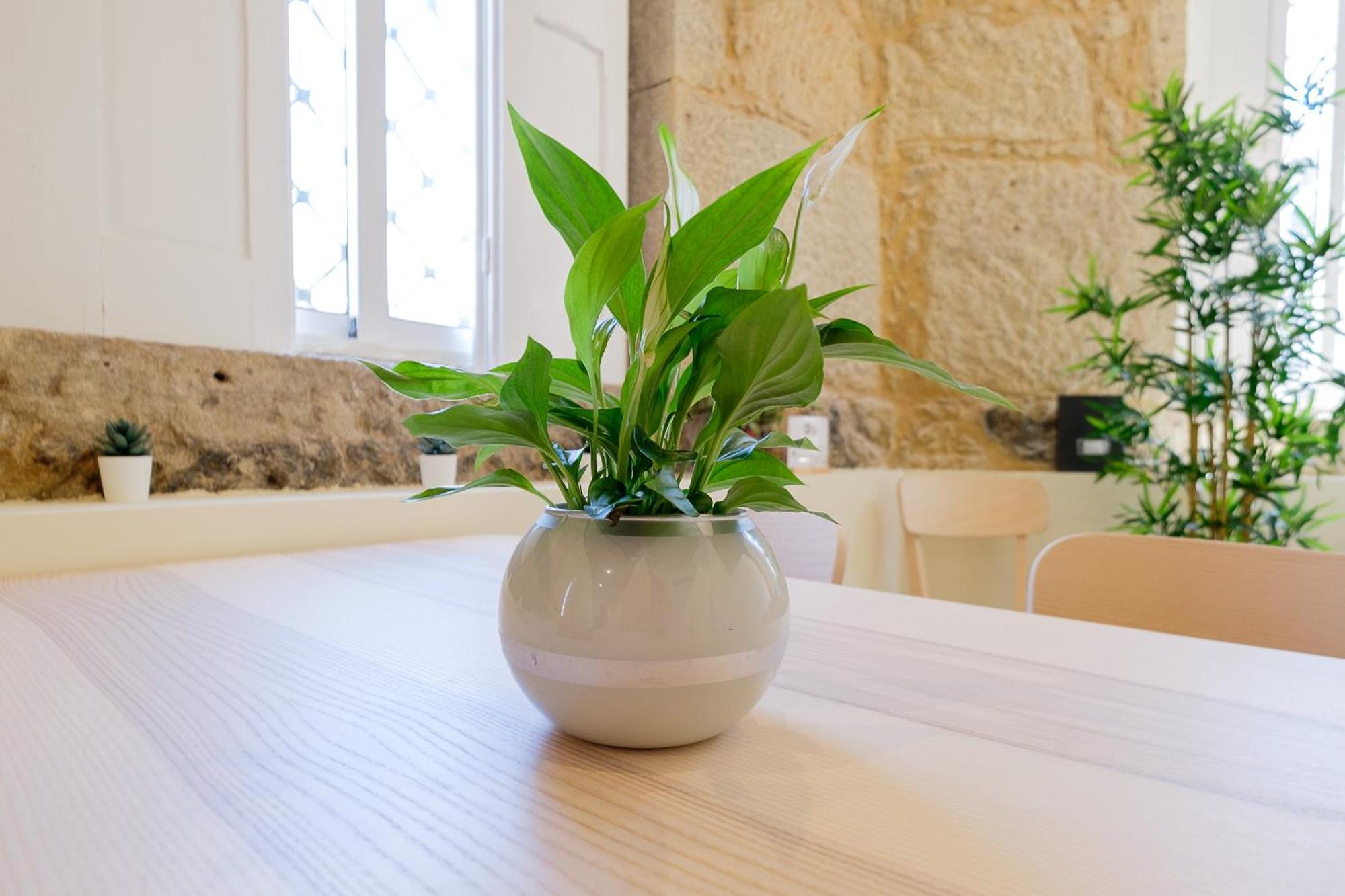 Portocasa Βίλα Εξωτερικό φωτογραφία
